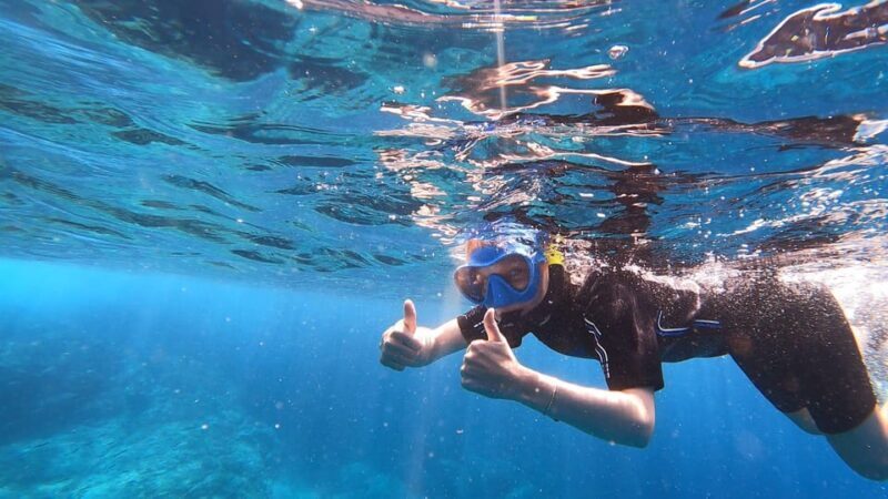 Join us on a snorkel boat tour - The Sum Up