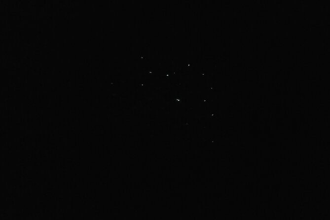 Joiners Firefly Watching Tour - What Makes This Firefly Tour Special