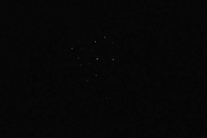 Joiners Firefly Watching Tour - In-Depth Look at the Experience