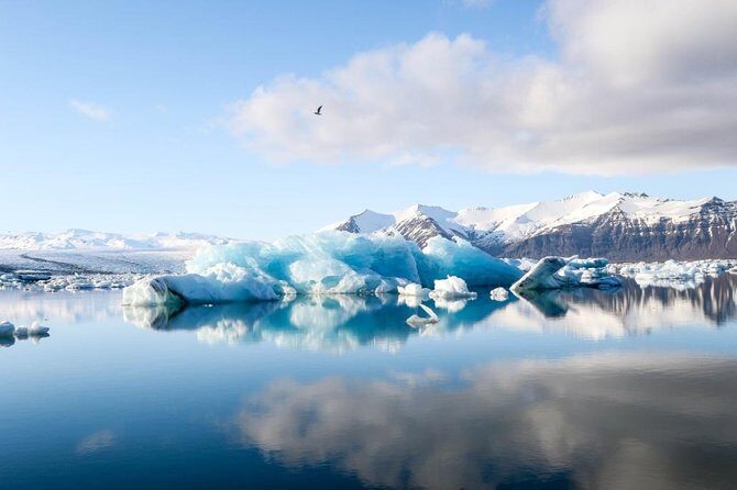 Jökulsarlón Glacier Lagoon Tour - An In-Depth Look at the Jökulsarlón Glacier Lagoon Tour