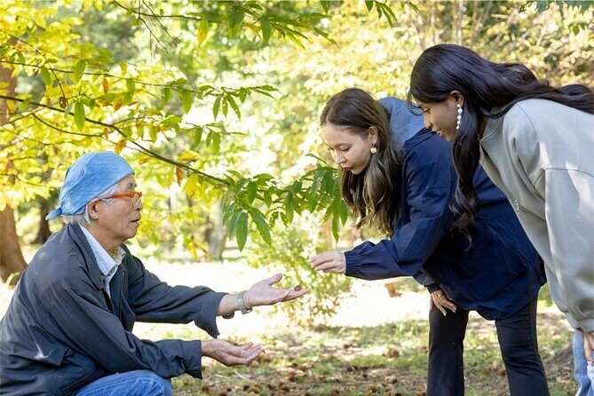 Jomon 2-Day Historical Spirits Tour - Key Points