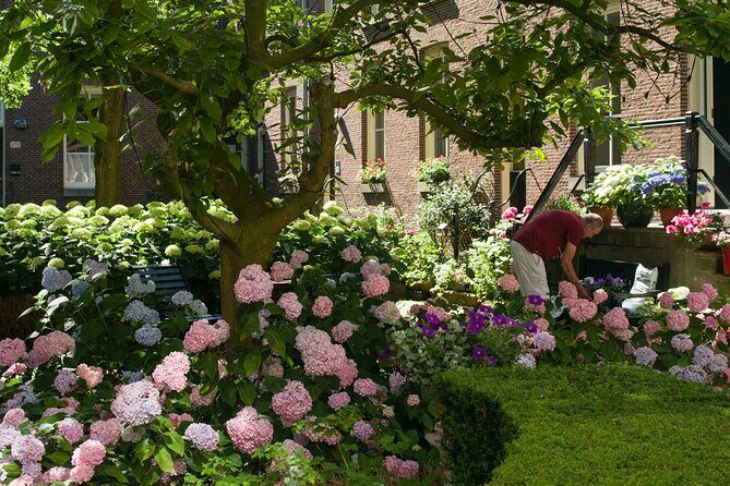 Jordaan District Walking Tour in German - The Hofje Van Brienen and the City’s Evolving Culture