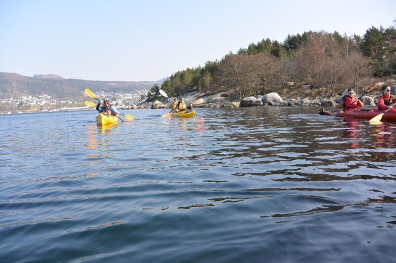 Jørpeland: Guided fjordtour kayak - Jørpeland: Guided Fjordtour Kayak — An Authentic Norwegian Adventure