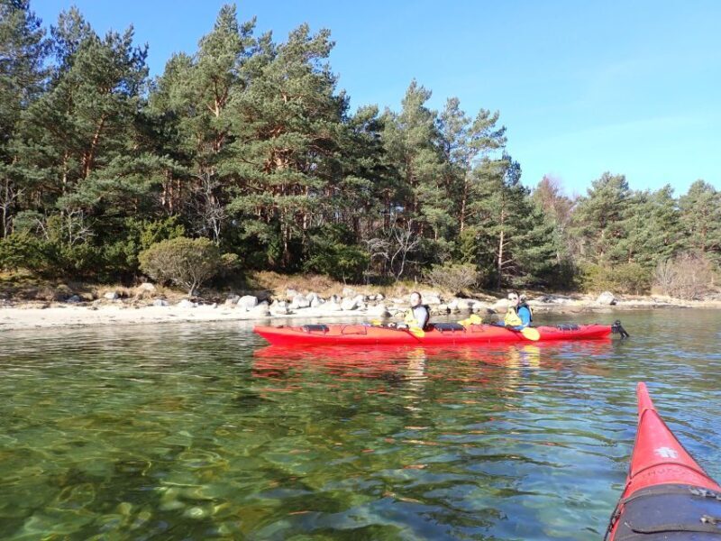Jørpeland: Guided fjordtour kayak - Who Will Love This Experience?