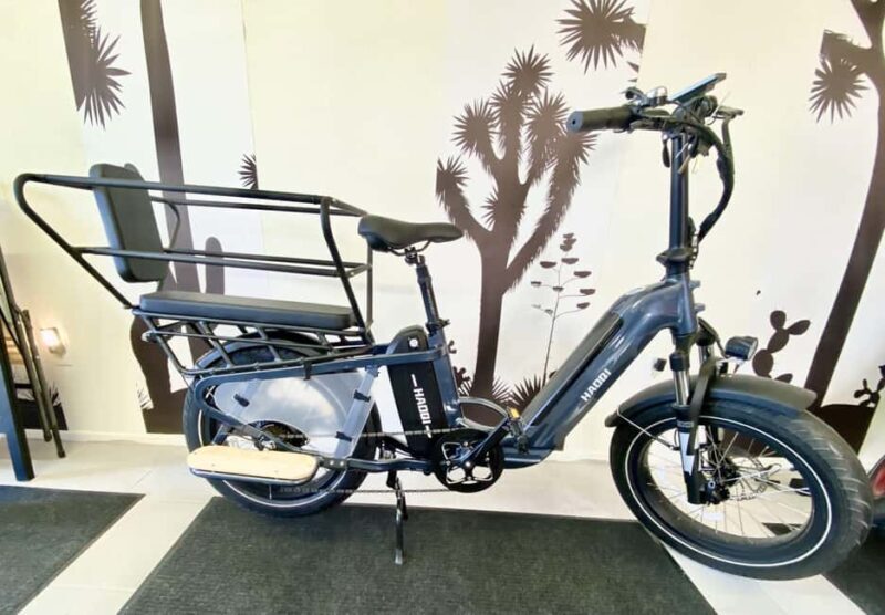 Joshua Tree National Park: E-Bike Rental - In-Depth Review of the Joshua Tree E-Bike Rental Experience