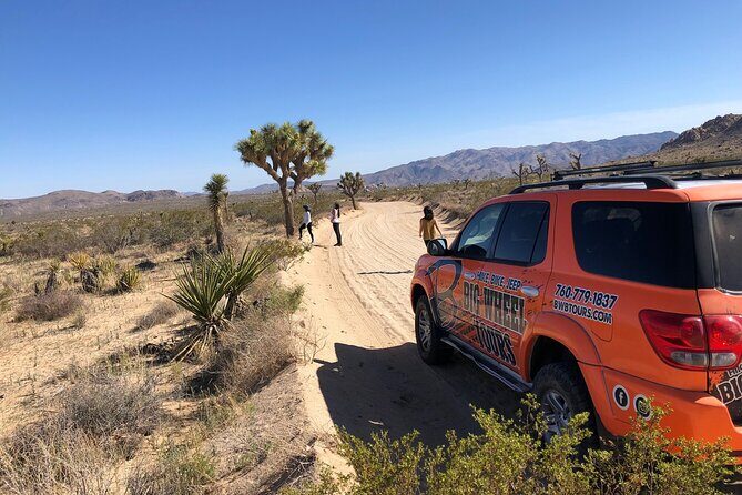 Joshua Tree National Park Offroad Tour - Key Points