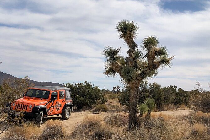 Joshua Tree National Park Offroad Tour - Final Thoughts
