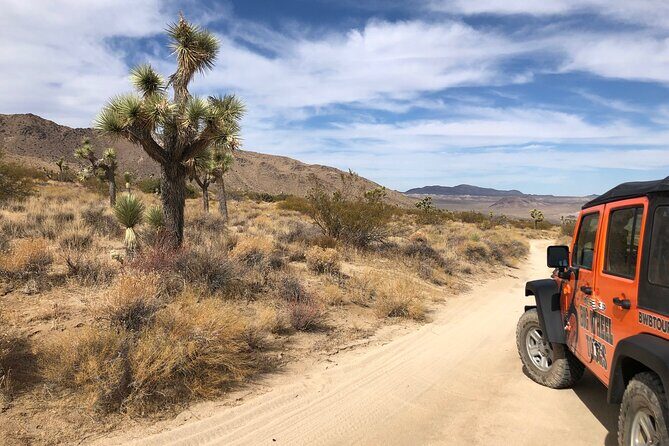 Joshua Tree National Park Offroad Tour - FAQ