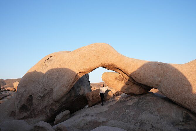 Joshua Tree National Park Private Adventure from Los Angeles - Exploring the Jaw-Dropping Landscape of Joshua Tree