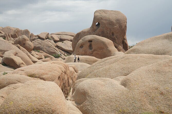 Joshua Tree National Park Private Adventure from Los Angeles - Who Should Consider This Tour?