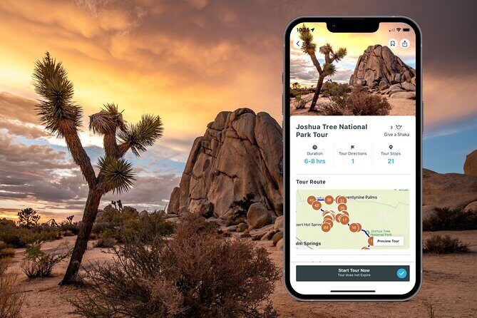 Joshua Tree National Park Self-Guided Audio Tour - A Detailed Look at the Tour Itinerary