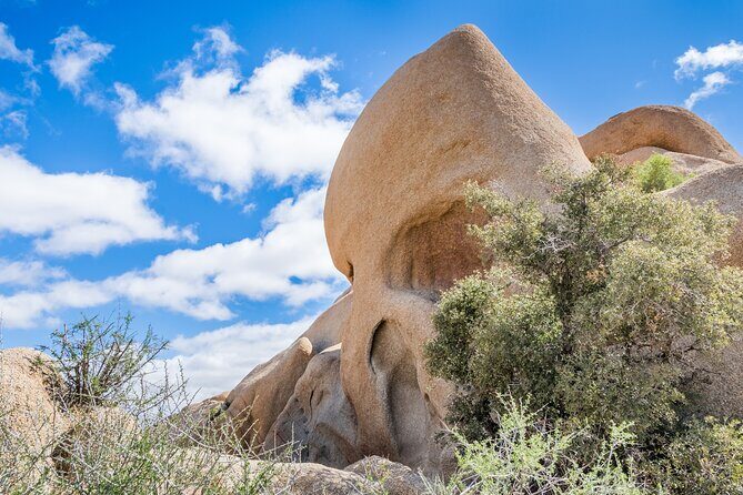 Joshua Tree National Park Self-Guided Audio Tour - Final Thoughts