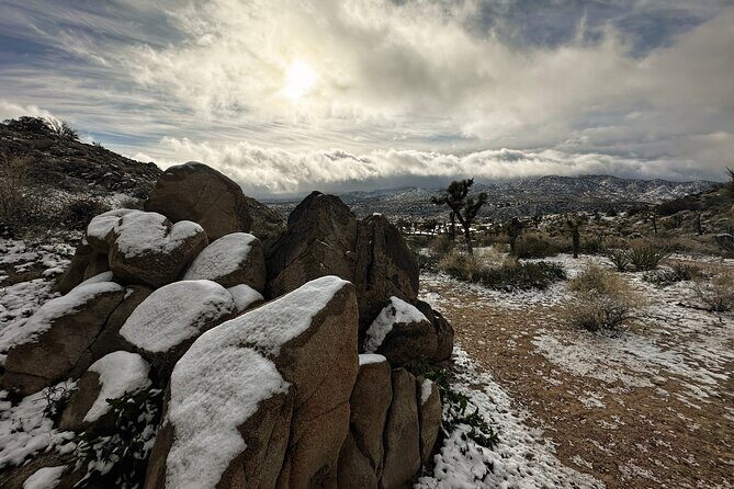 Joshua Tree National Park Self-Guided Driving Audio Tour - In-Depth Review: A Self-Guided Journey with a Personal Touch