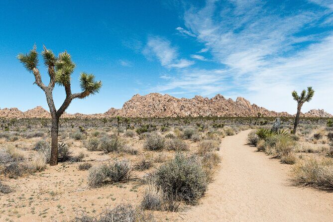 Joshua Tree National Park Self-Guided Driving Audio Tour - Final Thoughts
