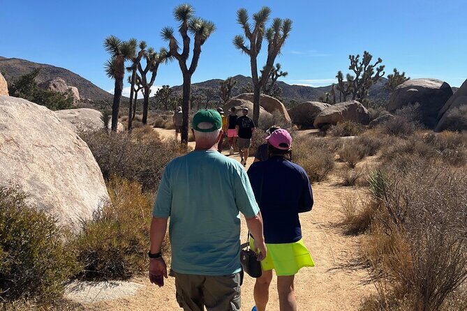 Joshua Tree National Park Sightseeing Adventure Tour - Key Points