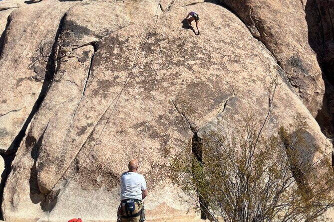 Joshua Tree National Park Sightseeing Adventure Tour - An In-Depth Look at the Joshua Tree Sightseeing Tour