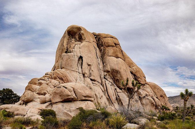 Joshua Tree National Park Trip Planner - FAQs