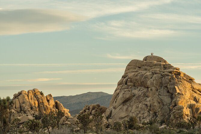 Joshua Tree's Hidden Valley Self-Guided Walking Tour - An In-Depth Look at the Joshua Tree Hidden Valley Self-Guided Tour