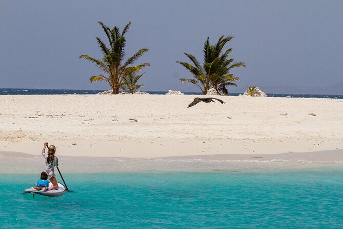 Jost Van Dyke - Soggy Dollar & Sandy Spit Sailing Tour in the BVI - A Detailed Look at the Jost Van Dyke Sailing Tour