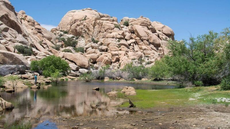 Journey into Joshua Tree: Audio Driving Tour and Local Guide - The Experience in Practice