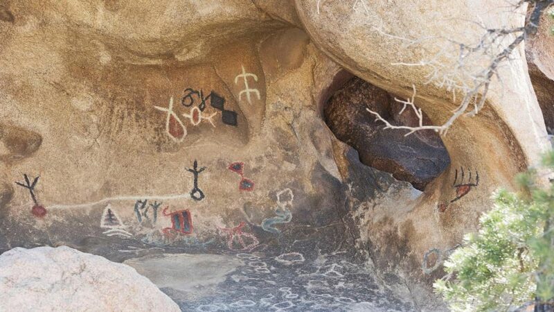 Journey into Joshua Tree: Audio Driving Tour and Local Guide - Who Should Consider This Tour?