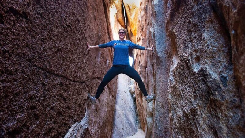 Journey into Joshua Tree: Audio Driving Tour and Local Guide - The Sum Up