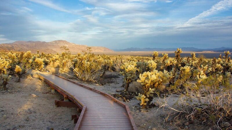 Journey into Joshua Tree: Audio Driving Tour and Local Guide - FAQ