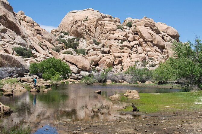 Journey into Joshua Tree Audio Tour and Locals Guide - Exploring Joshua Tree with the Audio Tour and Local Guide