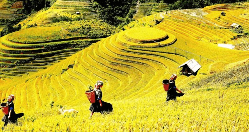 Journey Through Sapa Terraces & Traditions - What the Tours Do Well — And What to Consider