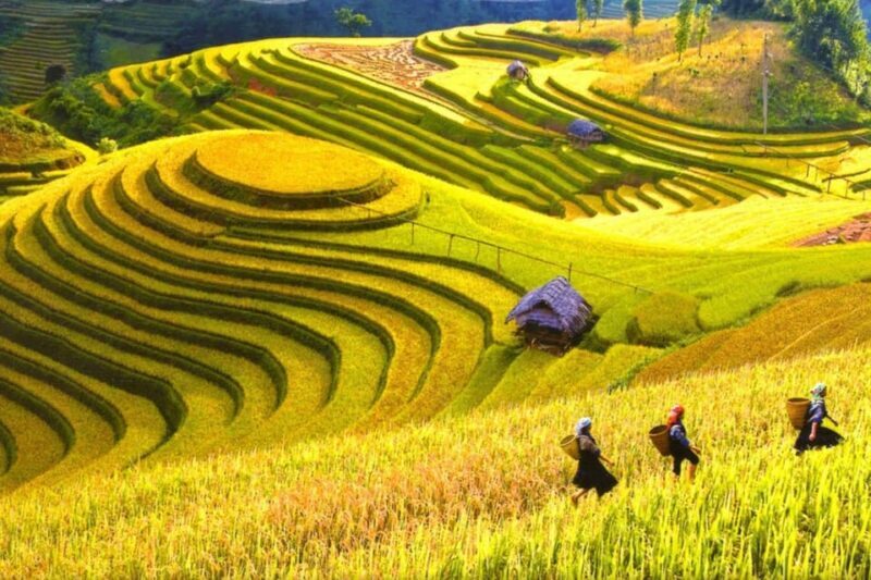Journey Through Sapa Terraces & Traditions - FAQs