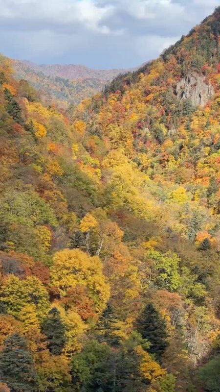 Jozankei, Hoheikyo Dam & Takino Suzuran Hillside Park Day Tour (Includes Lunch) - The day at a glance