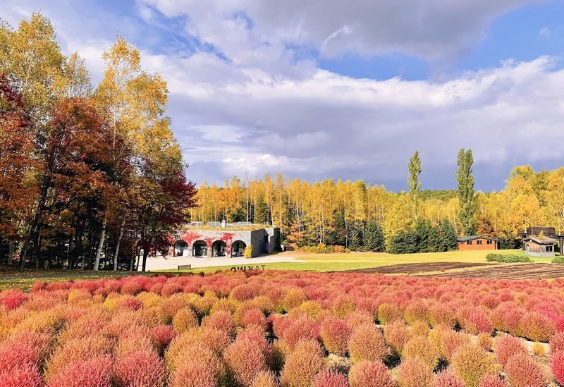 Jozankei, Hoheikyo Dam & Takino Suzuran Hillside Park Day Tour (Includes Lunch) - Takino Suzuran Hillside Park: timing matters