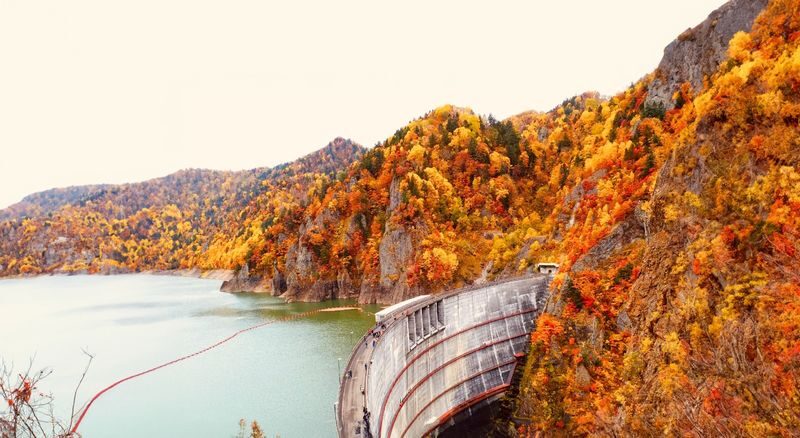 Jozankei, Hoheikyo Dam & Takino Suzuran Hillside Park Day Tour (Includes Lunch) - Who should book this outing?