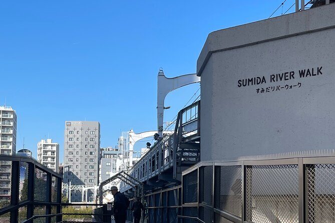 JP Culture -Tsukiji Fish Asakusa Tea Ceremony Akihabara Maid Cafe - Final Thoughts