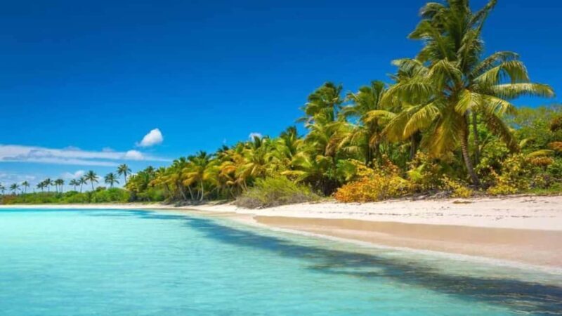 Juan Dolio: Saona Island Day Trip with Lunch & Open Bar - Key Points