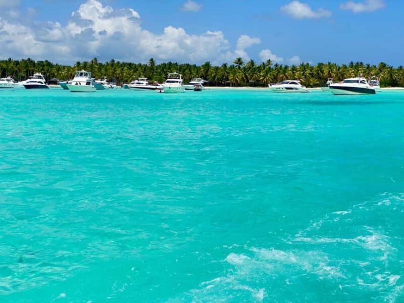 Juan Dolio: Saona Island Full-Day Tour with Catamaran Ride - The Sum Up