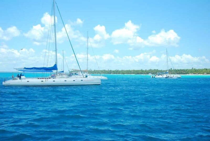Juan Dolio: Saona Island Full-Day Tour with Lunch & Drinks - Who Will Love This Tour?