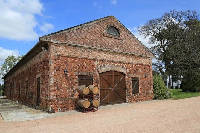 Juanico Wine Tour Lunch - A Deep Dive into the Juanico Wine Tour Lunch