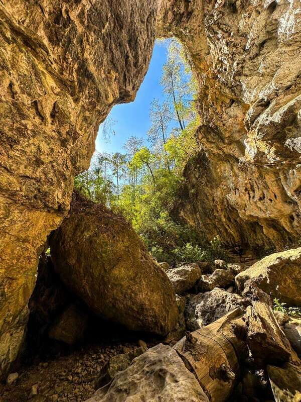 Juárez Highlands: Ecotourism and Workshop Experience - Exploring the Sierra Juárez: A Day of Craft, Nature, and Culture