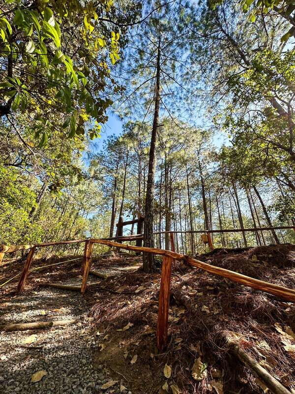 Juárez Highlands: Ecotourism and Workshop Experience - Frequently Asked Questions