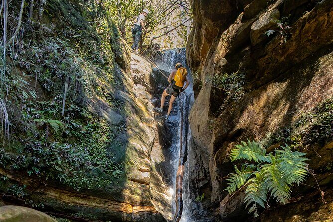Juggler Canyon and Abseiling Adventure Blue Mountains - Final Thoughts