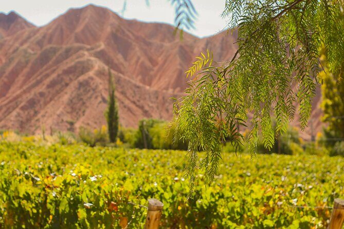 Jujuy Wine Route (Quebrada de Humahuaca) - FAQ