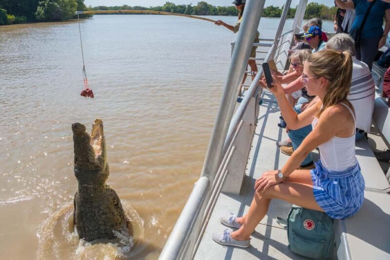 Jumping Crocodile Cruise from Darwin Half-Day Scenic Trip - Frequently Asked Questions