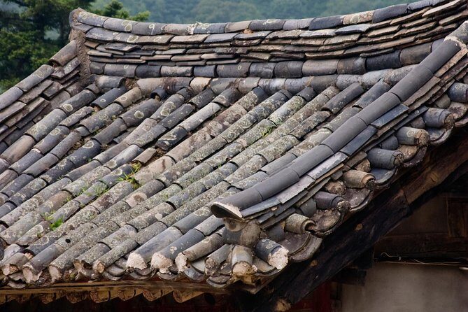 Junam Wetlands and Haeinsa Temple Tour - An Authentic Day Exploring Korea’s Natural and Cultural Gems