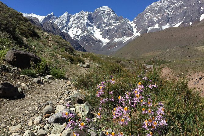 Juncal Andean Park: Hiking over a Glacial Tongue - Final Thoughts