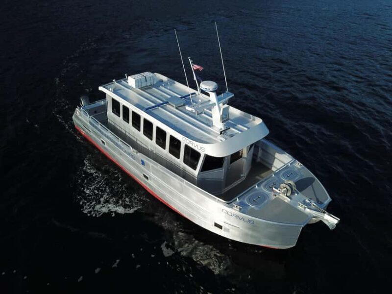 Juneau: 3.5-Hour Small Group Whale Watching Tour - What To Expect: The Itinerary