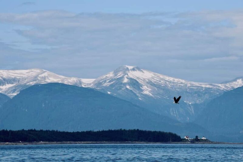 Juneau: 3.5-Hour Small Group Whale Watching Tour - The Sum Up: Who Should Consider This Tour?