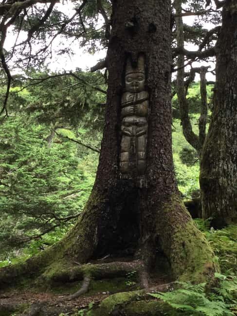 Juneau: Alaska Native Tour with Tram Ride and Meal - Authentic Experiences and Real-World Feedback