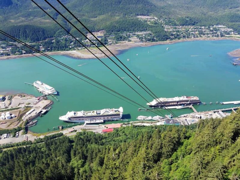 Juneau: Alaska Native Tour with Tram Ride and Meal - Who Should Consider This Tour?