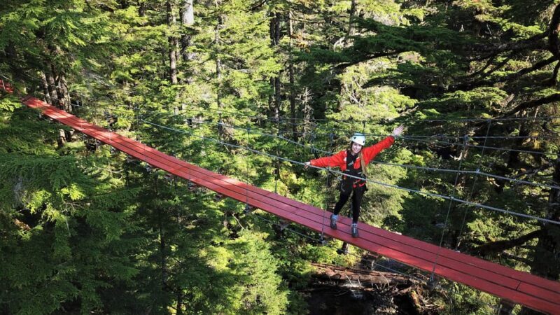 Juneau: Alpine Zipline Adventure - An In-Depth Look at the Juneau Zipline Experience